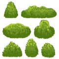 Nature hedge, garden green bushes. Cartoon shrub and bush vector set isolated on white background Royalty Free Stock Photo
