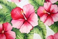 Nature hibiscus summer tropic flower exotic pattern seamless plant background illustration floral background leaves