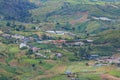 Nature highland green landscape view of Kundasang town, Sabah, Malaysia