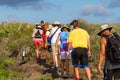 Nature Hike Royalty Free Stock Photo