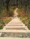 Nature Hike Royalty Free Stock Photo