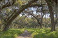 Nature Hiking Trail