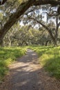 Nature Hiking Trail