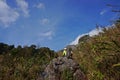 Nature of the hill rain forest trail dry season, tourist hike to the top of mountain , Chiang Mai, Thailand February 0,2018