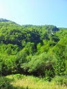 Nature and hills