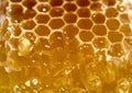 Nature honeycomb from which honey flows