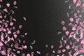 Pink falling sakura petals and flowers. Nature horizontal background Royalty Free Stock Photo