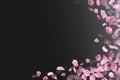 Pink falling sakura petals and flowers. Nature horizontal background Royalty Free Stock Photo