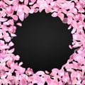 Pink falling sakura petals and flowers. Nature horizontal background Royalty Free Stock Photo