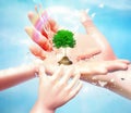 Nature in human hand. The concept of environmental protection. Template for your design with hands, tree, birds, water jets and Royalty Free Stock Photo