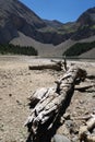 Nature in Ibon de Plan, Huesca, Spain