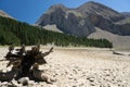 Nature in Ibon de Plan, Huesca, Spain