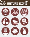 Nature icon set