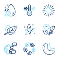 Nature icons set. Included icon as Cashew nut, Sun, Organic tested signs. Vector