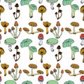 Nature illustration. Natural materials. Forest postcard. Assorted mushrooms. Edible and poisonous mushrooms. Seamless pattern.