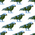 Nature illustration. Post card. Animals from the jungle. Parrot in the zoo. Seamless pattern
