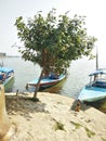 Nature Image of lake. boat stand on lake