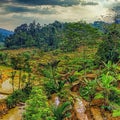 Nature Indonesian Village Wallpaper HD