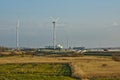 Nature and industry. polder wetlands with Port of zeebrugge behind