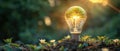 Nature And Innovation Unite As A Tree Blooms Inside A Glowing Light Bulb Royalty Free Stock Photo