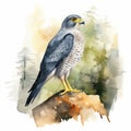 Nature-inspired Watercolor Falcon Sitting On A Rock In Whistlerian Style