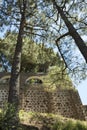 Nature on the island of gran canaria