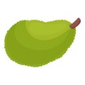 Nature jackfruit icon cartoon vector. Ripe food