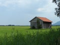 Nature in Kochel am See