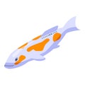 Nature koi carp icon, isometric style Royalty Free Stock Photo