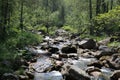 Nature of lake Baikal