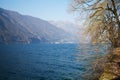 Nature, Lake Ceresio, in Switzerland Royalty Free Stock Photo