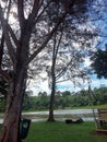 Nature lake tree chair park