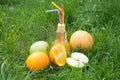 Nature. Lamp shapedglass with fresh juice on green grass near oranges, apples Royalty Free Stock Photo