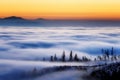 Nature landcape fog blue trees Slovakia