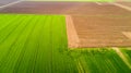 Nature and landscape: Aerial view of a field, cultivation, green grass, countryside, farming, Royalty Free Stock Photo