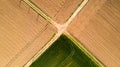 Nature and landscape: Aerial view of a field, cultivation, green grass, countryside, farming, Royalty Free Stock Photo