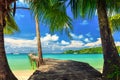 Nature landscape: Amazing sandy tropical beach with silhouette coconut palm tree in crystal clear sea and scenery wooden bridge ou