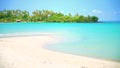 Nature Landscape, Amazing view sandy tropical beach with palm tree in sunny day on background azure sea water and blue sky