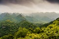 Nature landscape in Asia with dense trees and karst rocks. Ngu Lam Peak on Cat Ba Island, Vietnam