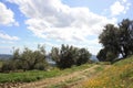 Nature. Landscape Axarquia, Lake, montains, dirt road and blue sky with clouds