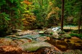 Nature landscape. Beautiful fall mountain wild Forest river with moss cover stones. Forest autumn landscape. Scenery of nature