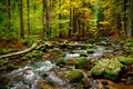 Nature landscape. Beautiful fall mountain wild Forest river with moss cover stones. Forest autumn landscape. Scenery of nature