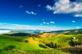 Nature landscape with most beautiful terracedÃÂ rice fieldsÃÂ of allÃÂ Asia on background blue summer sky at sunrise. Bali, Indonesia Royalty Free Stock Photo