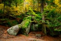 Nature landscape. Beautiful mountain wild Forest in fall with moss cover stones. Forest autumn landscape. Scenery of nature Royalty Free Stock Photo