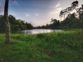 Nature landscape with blue sky twilight forest Royalty Free Stock Photo