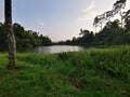 Nature landscape with blue sky twilight forest Royalty Free Stock Photo