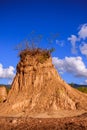 Nature landscape of canyon.