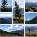 Nature landscape collage Royalty Free Stock Photo