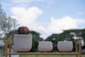 nature and landscape with cloudy blue sky and cactus in houseplant Royalty Free Stock Photo