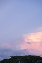 nature and landscape concept with twilight sky with large tree and cloud